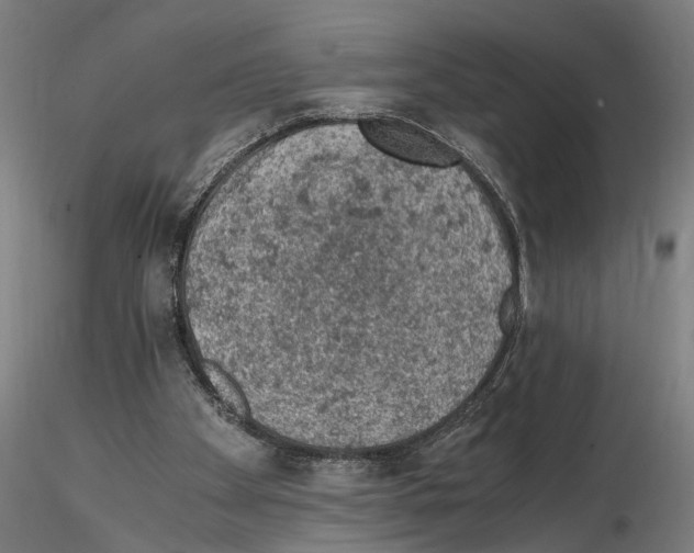 X0000114660105200912011145