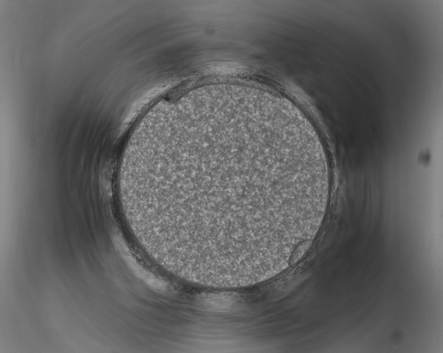 X0000114660106200912011145