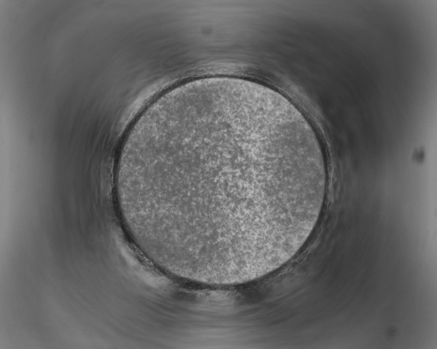 X0000114660107200912011145