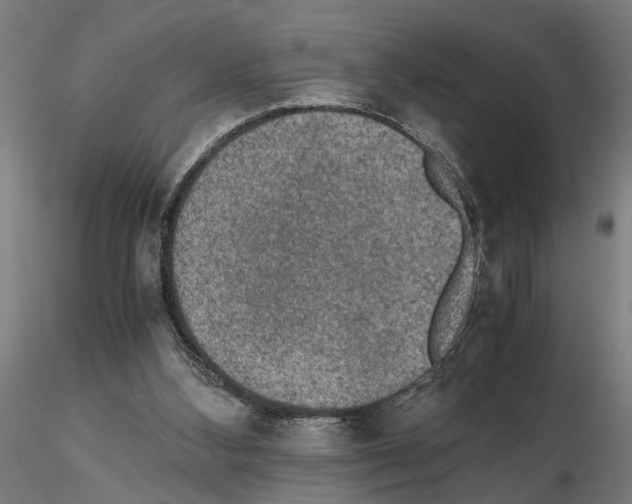 X0000114660108200912011145