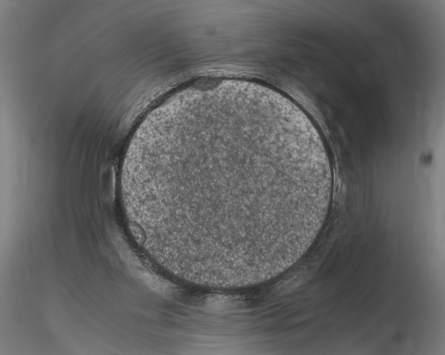X0000114660109200912011145