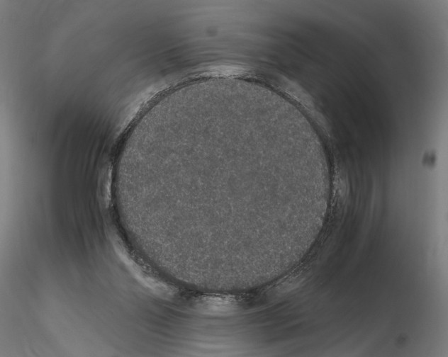 X0000114660110200912011145
