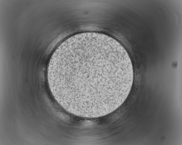 X0000114660111200912011145