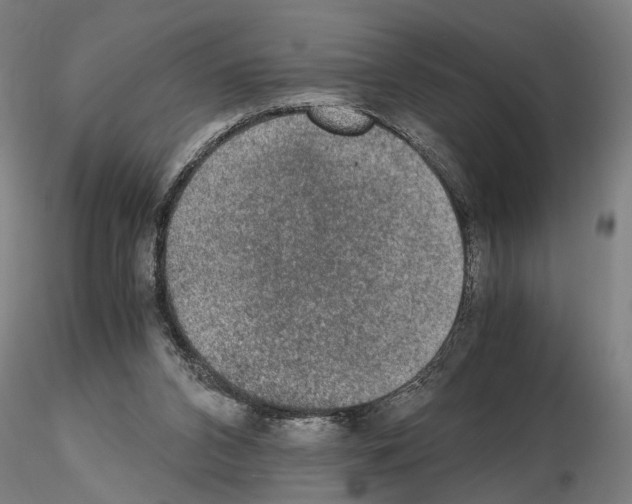 X0000114660112200912011145