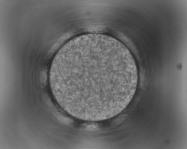 X0000114660113200912011145