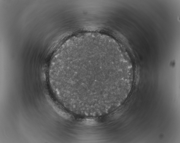 X0000114660114200912011145