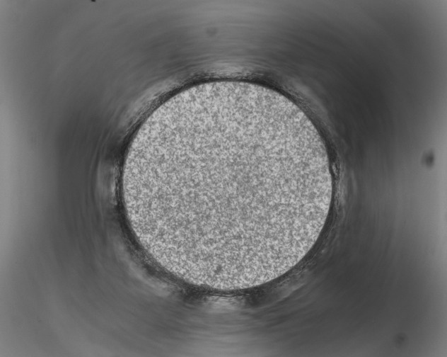 X0000114660115200912011145