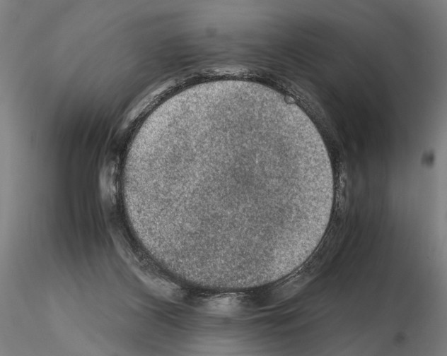 X0000114660116200912011145