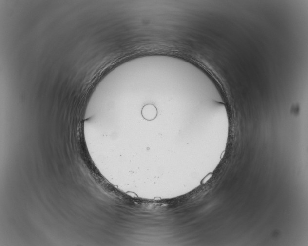 X0000114660117200912011145