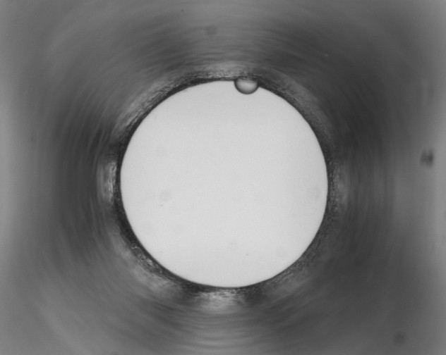 X0000114660118200912011145