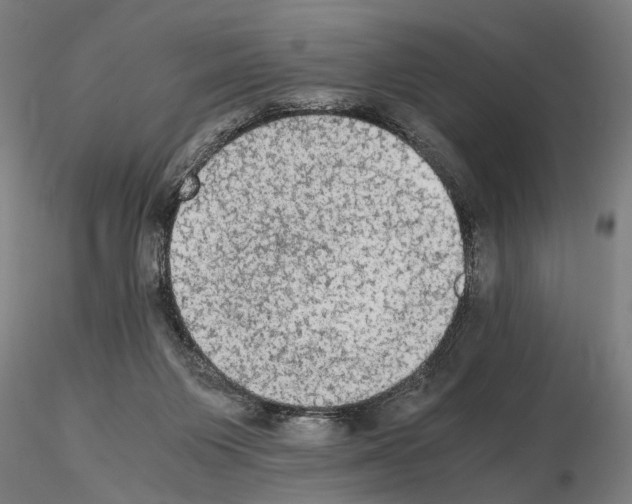 X0000114660119200912011145