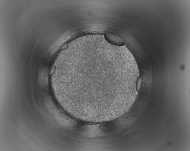 X0000114660120200912011145