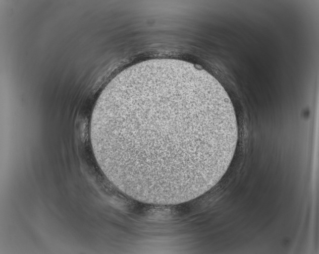 X0000114660123200912011145