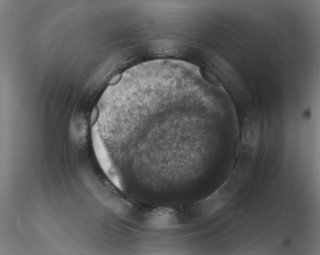 X0000114660124200912011145