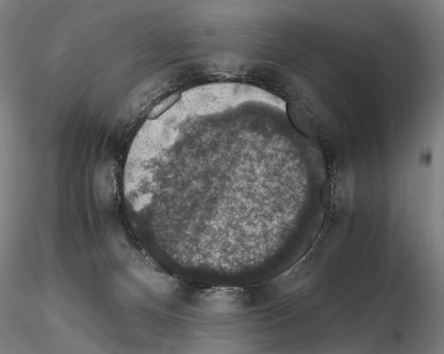 X0000114660128200912011144