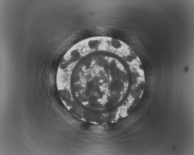 X0000114660131200912011144