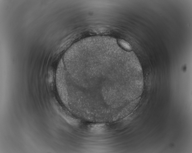 X0000114660132200912011144