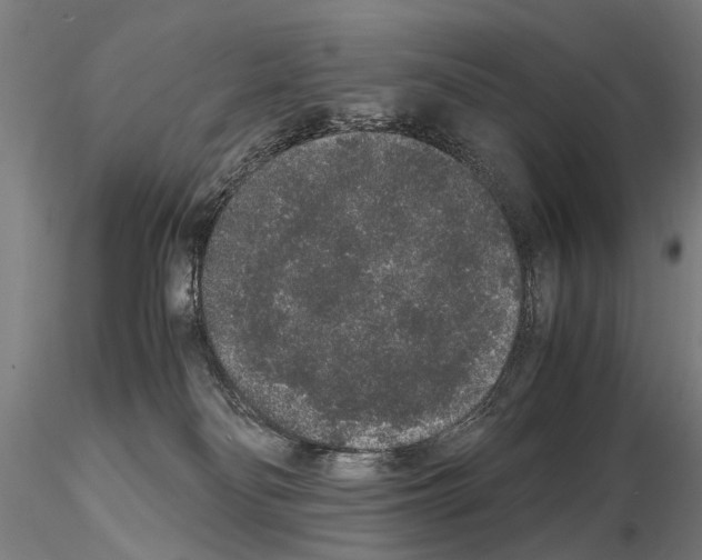 X0000114660134200912011144