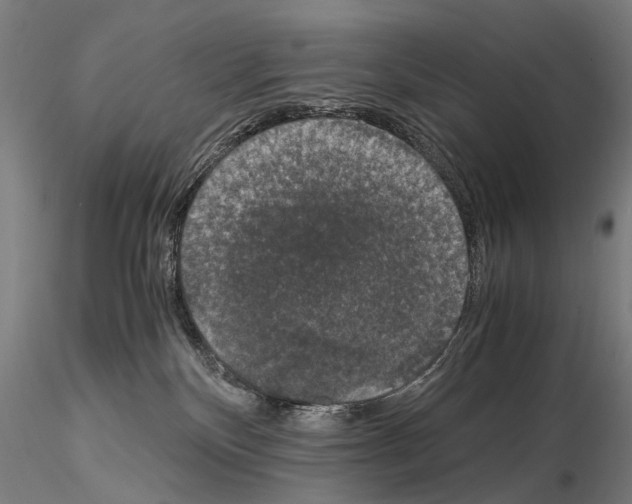 X0000114660136200912011144