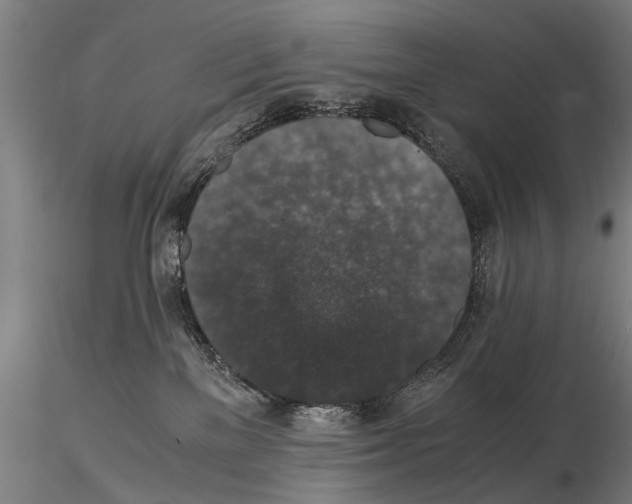 X0000114660137200912011144