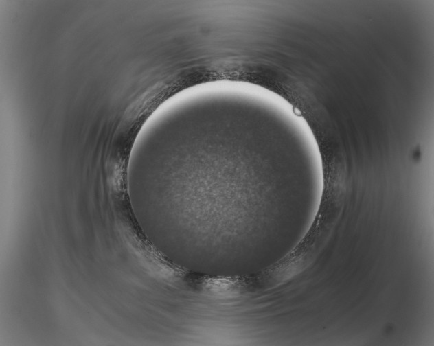 X0000114660139200912011144