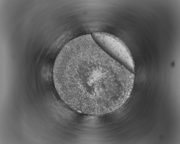 X0000114660140200912011144