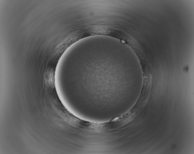 X0000114660143200912011144