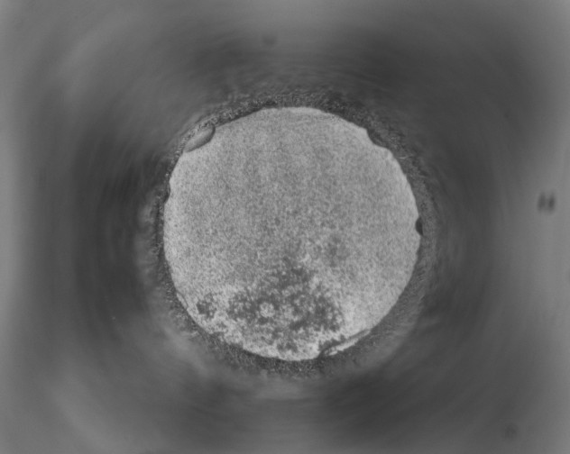 X0000114660144200912011144