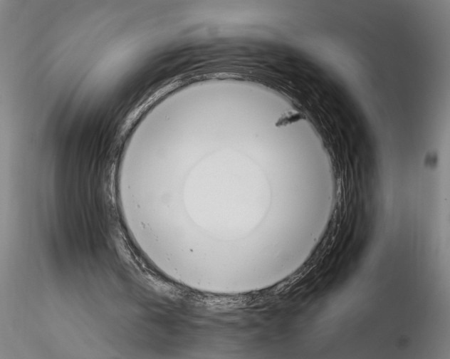 X0000114660146200912011143