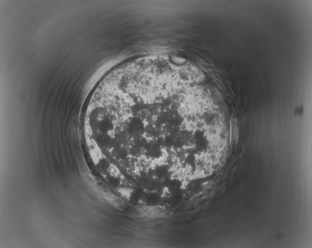 X0000114660147200912011143