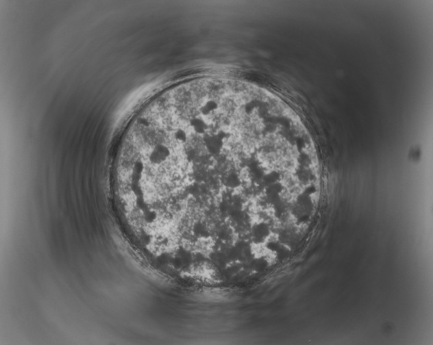 X0000114660149200912011143