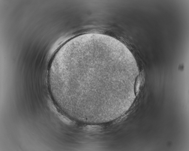 X0000114660150200912011143