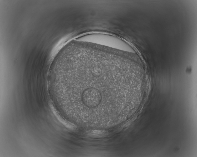 X0000114660151200912011143