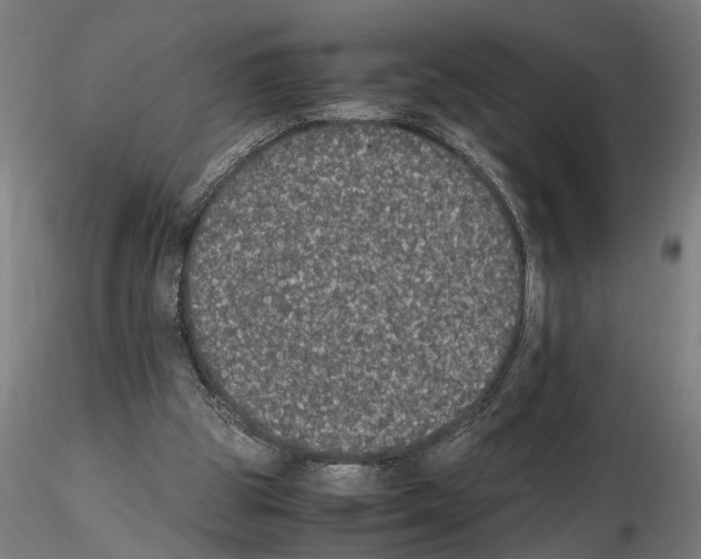 X0000114660153200912011143