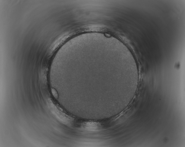 X0000114660154200912011143