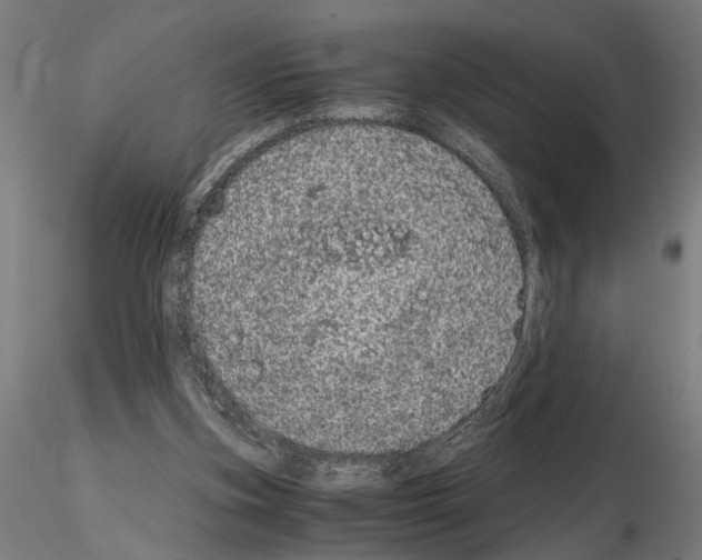 X0000114660155200912011143