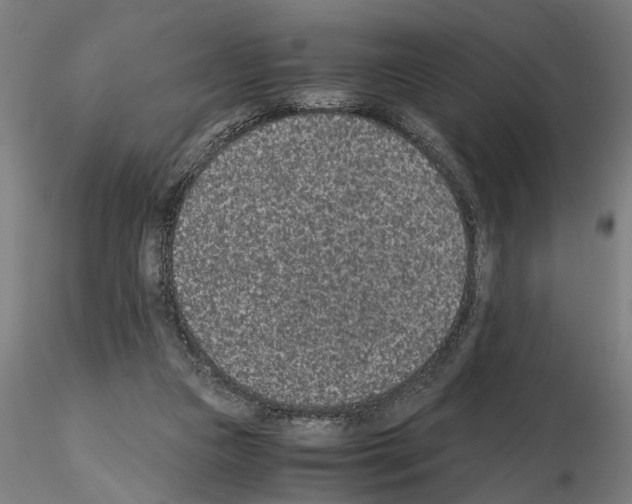 X0000114660161200912011144