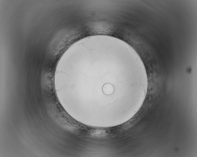 X0000114660162200912011144