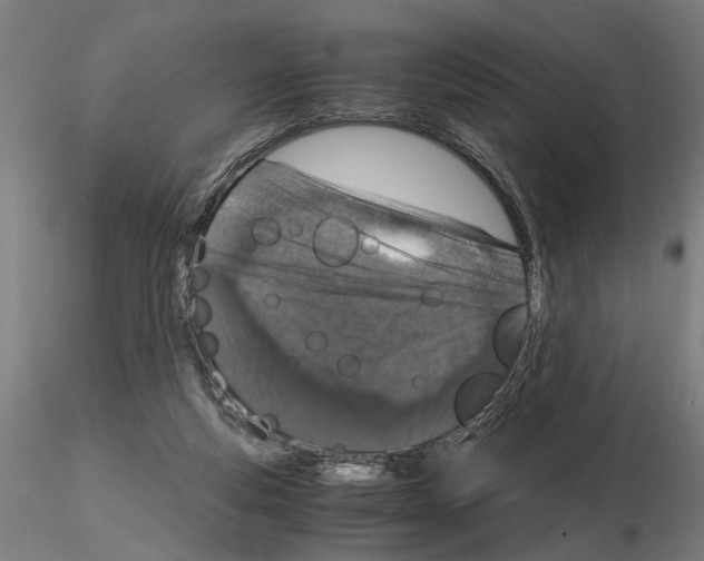 X0000114660163200912011144