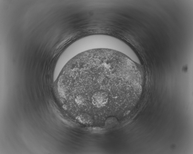 X0000114660165200912011144