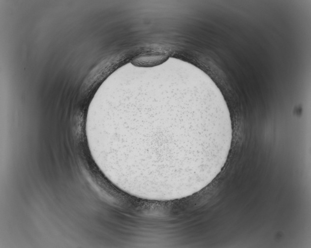 X0000114660166200912011144