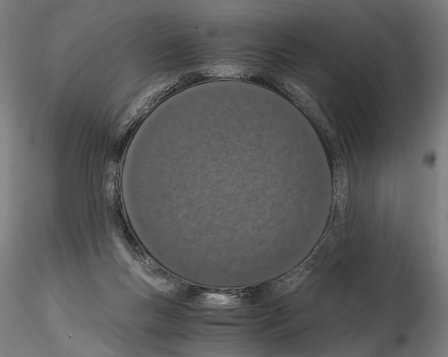 X0000114660167200912011144