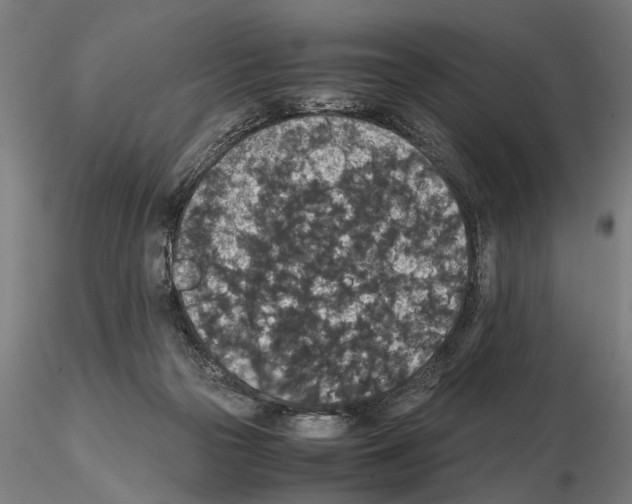 X0000114660169200912011144