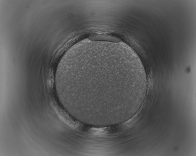 X0000114660170200912011144