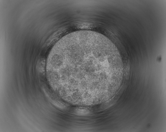 X0000114660175200912011144