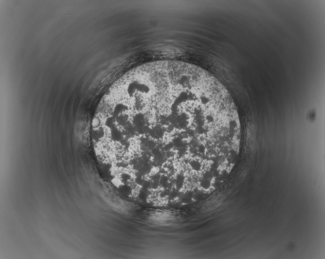 X0000114660177200912011144