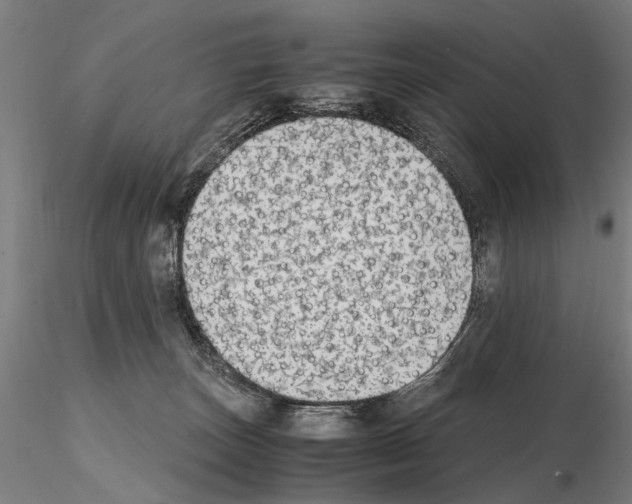 X0000114660179200912011144