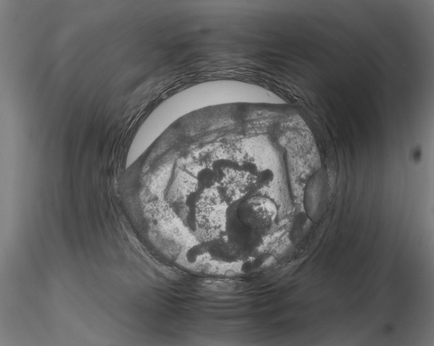 X0000114660181200912011144