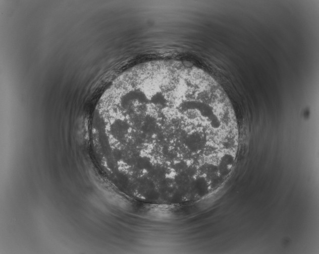 X0000114660182200912011144