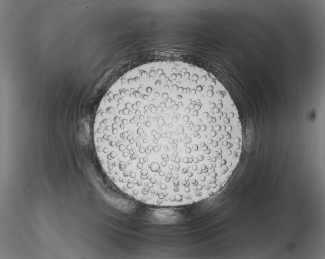 X0000114660183200912011144